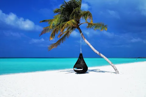 Tropenstrand mit Palme und türkiser Lagune